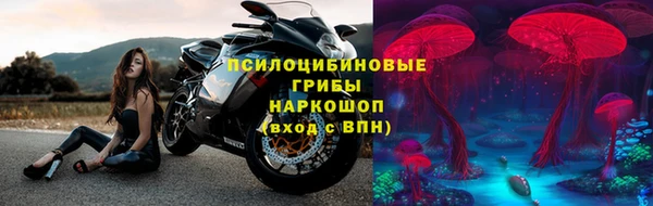 стаф Медногорск