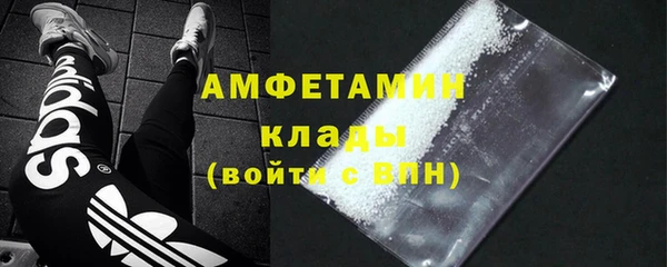стаф Медногорск