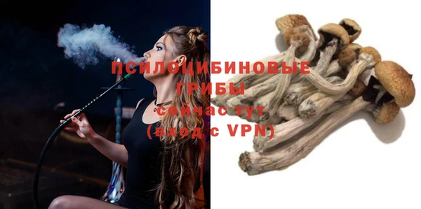 стаф Медногорск