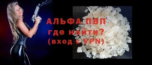стаф Медногорск