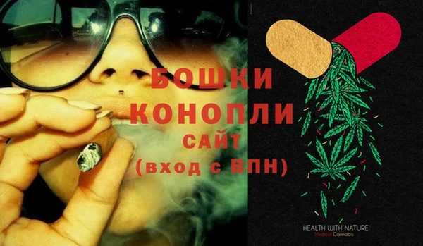 стаф Медногорск