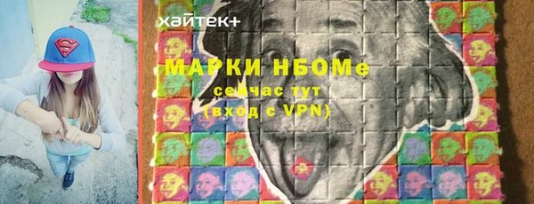 стаф Медногорск