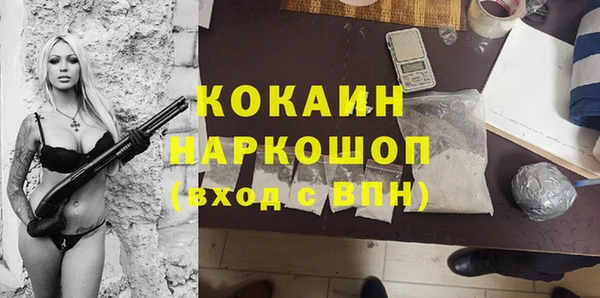 стаф Медногорск