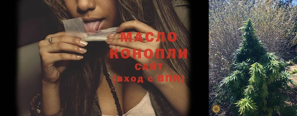 стаф Медногорск