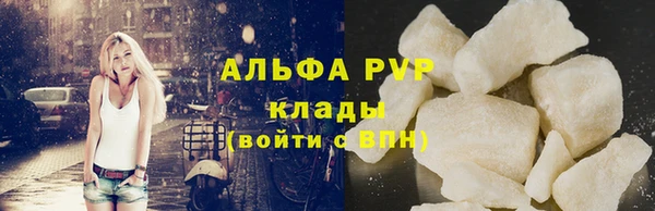 стаф Медногорск
