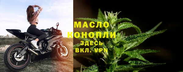 стаф Медногорск