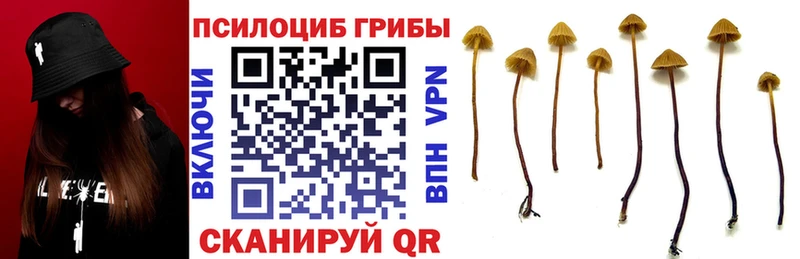 Галлюциногенные грибы Cubensis  Каменск-Уральский 